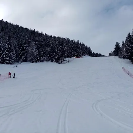 Comodo Alloggio Con Accesso Diretto Alle Piste