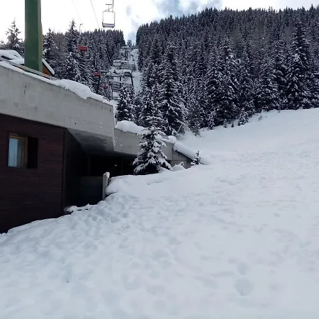 Comodo Alloggio Con Accesso Diretto Alle Piste 公寓 圣卡特琳娜瓦尔夫